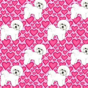 Bichon Frise dogs and pink hearts