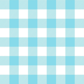 buffalo plaid sky blue and white 2"