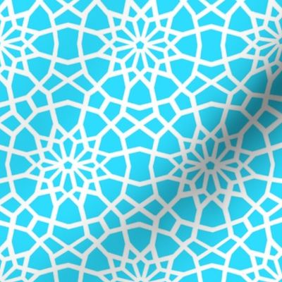 Turquoise Moroccan Mandala // Palace //  Marrakesh star flower // 