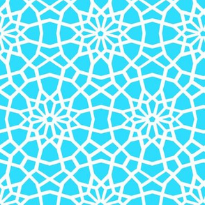 Turquoise Moroccan Mandala // Palace //  Marrakesh star flower // 