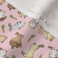 Rabbits on pale pink