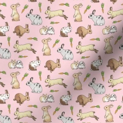 Rabbits on pale pink