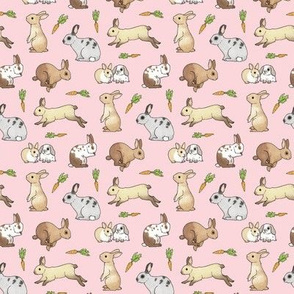 Rabbits on pale pink