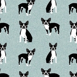 Boston terrier dog fabric - Pet Quilt B - blue