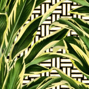 Tropical Palm Leaves on Stitch Black White Gold 