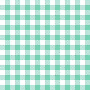 buffalo plaid sea foam green and white 1"