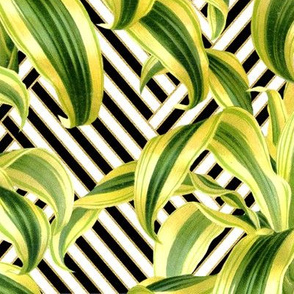 Tropical Palm Leaves on Stripped Herringbone Black White Gold 