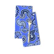 Paisley in Blues