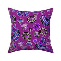 Purple and Blue Paisley
