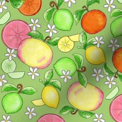 Citrus Fruit Green Large