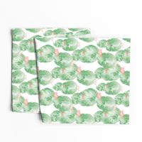 Prickly Pear Cactus Garden No. 2 in Pastel Green + Pink