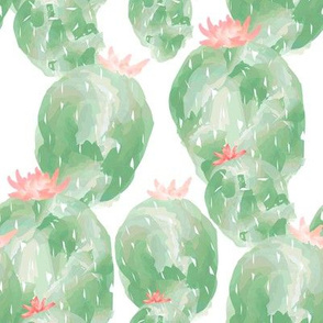 Prickly Pear Cactus Garden No. 2 in Pastel Green + Pink