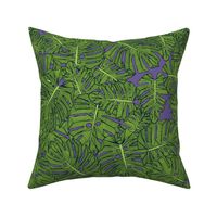 monstera leaves green purple