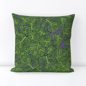 monstera leaves green purple