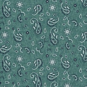 Western Paisley small - turquoise