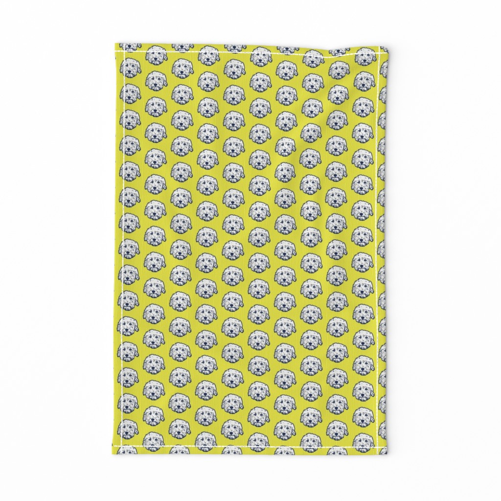 Mini Goldendoodle dogs on sunny yellow background