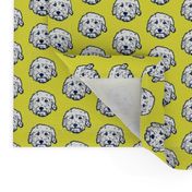 Mini Goldendoodle dogs on sunny yellow background