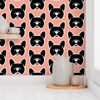 Frenchie dogs in black and blush!