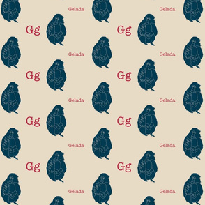 G is for Gelada