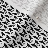 Boston Terrier fabric! Mini micro Bostons! Cute Boston Terrier faces in small repeat 