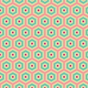 Geometric Pattern: Hexagon Hive: Pink/Blue