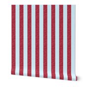red and blue stripes- 1" -C18BS