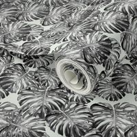 Monstera Leaves Black & Gray