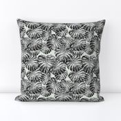 Monstera Leaves Black & Gray