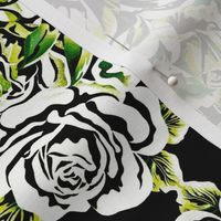 peace roses-monochromatic, green