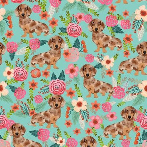 doxie floral dapple chocolate dachshund dog breed fabric mint