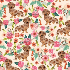 doxie floral dapple chocolate dachshund dog breed fabric beige