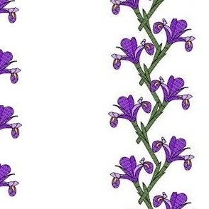 Purple Iris Garden Trellis Stripe