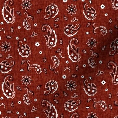 Western Paisley small - classic