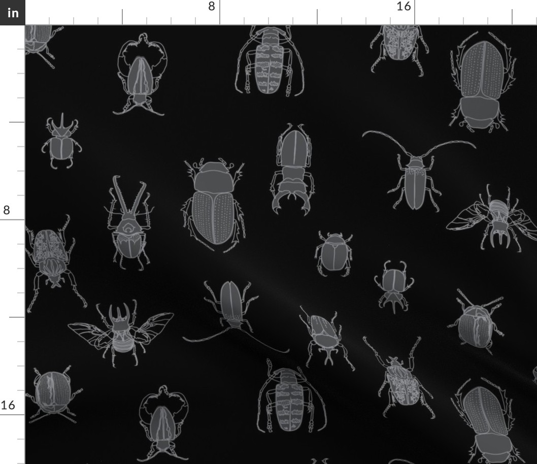 large - beetles in grey on black