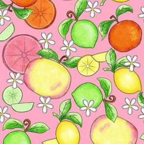 Citrus Fruit Pink Large