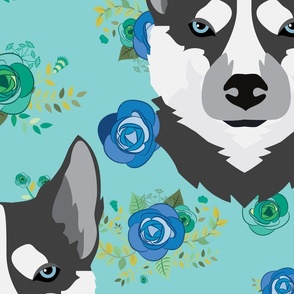 Husky Floral on Blue Dog 
