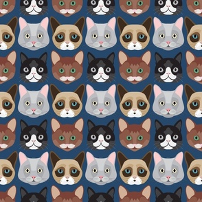 Kitty Cat Faces on Blue 