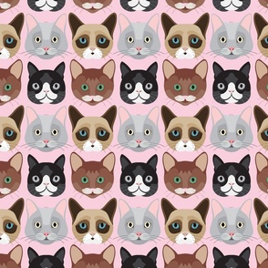 Kitty Cat Faces on Pink 