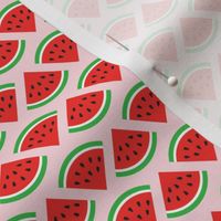 1" Watermelon Slices