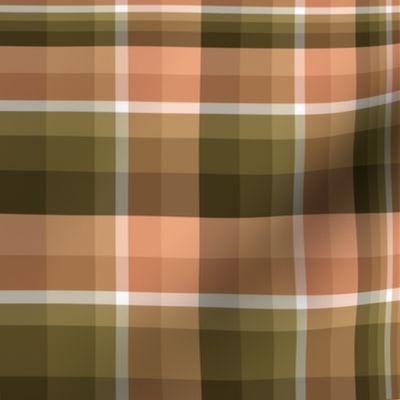 pipeline plaid 3