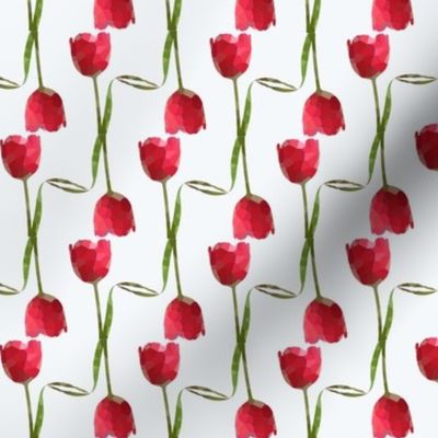 Red Tulips-White