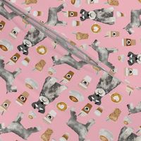 schnauzer coffee dog breed fabric pink