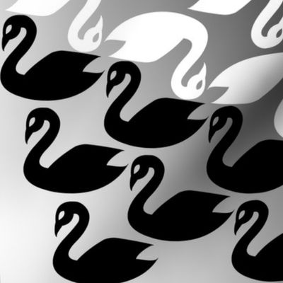 Black Swan White Swan my homage to M.C. Escher