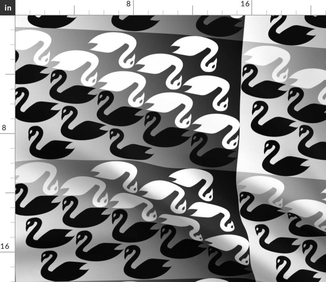 Black Swan White Swan my homage to M.C. Escher