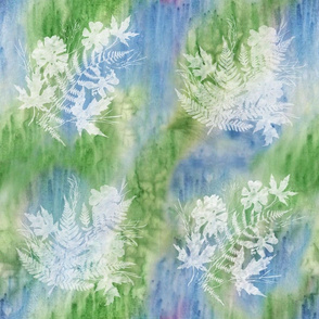 Cosmos, Fern, Maple Sunprints on Blue Green