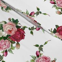 Pink Rose Bouquet - White Background