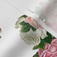 Pink Rose Bouquet - White Background