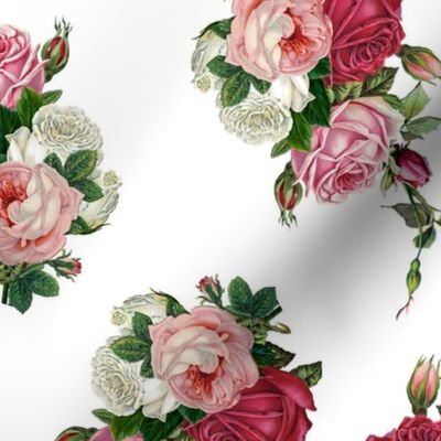 Pink Rose Bouquet - White Background