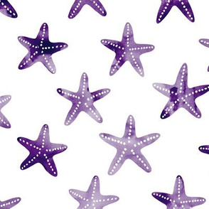 starfish - dark purple