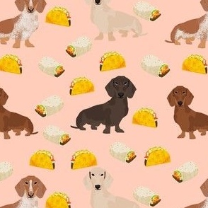 dachshund taco fabric - dogs and burritos design - blush